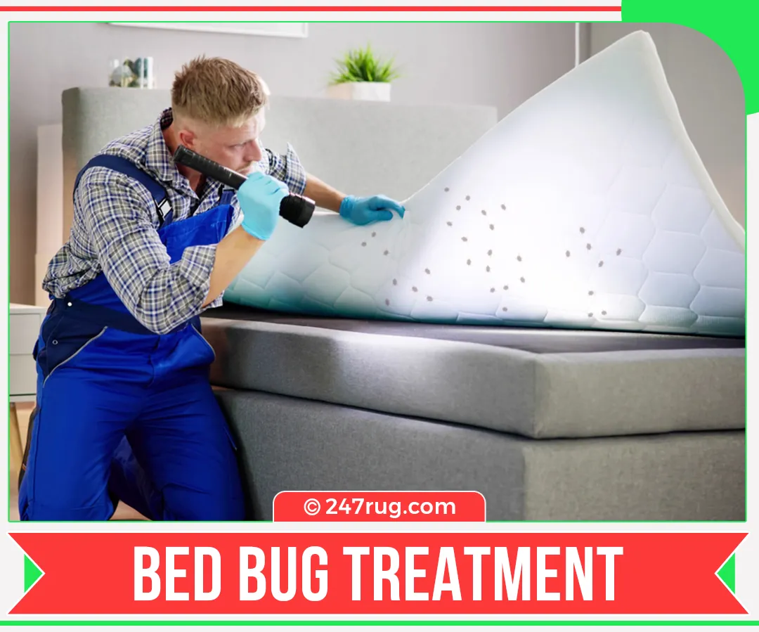 carpet cleaners in Nassau, carpet cleaning in Nassau, carpet cleaning Nassau, carpet cleaners in Nassau,  commercial carpet cleaning, commercial carpet cleaning in v,carpet cleaning in Nassau,  Nassau rug cleaners, rug cleaning services in Nassau, same day carpet cleaning, same day rug cleaning